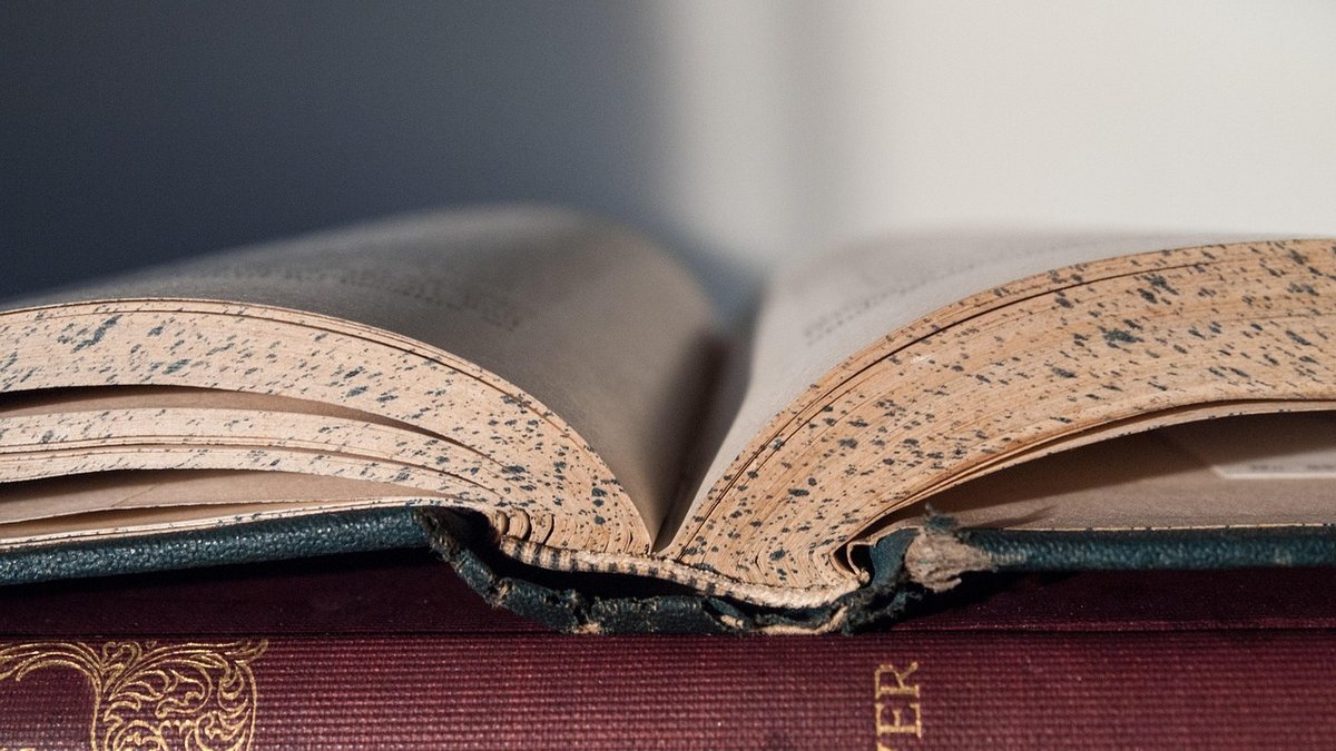 Reviewing Classic Sea Novels for Modern Coastal Readers